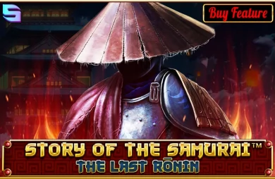 Story Of The Samurai The Last Ronin