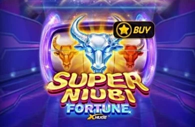 Super Niubi Fortune X-Huge