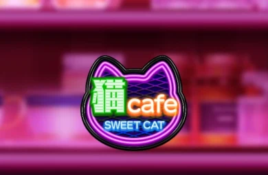 Sweet Cat Cafe