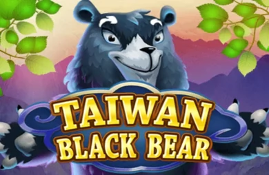 Taiwan Black Bear
