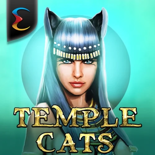 Temple Cats