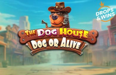 The Dog House - Dog or Alive
