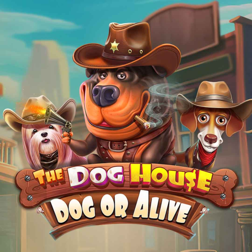 The Dog House - Dog or Alive