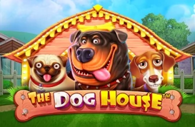The Dog House