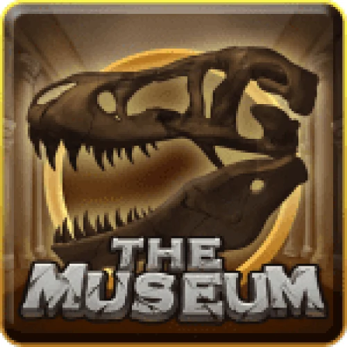 The Museum