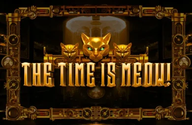 The Time is Meow