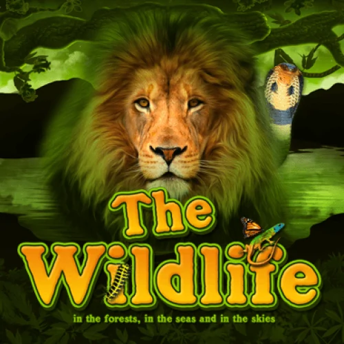 The Wildlife