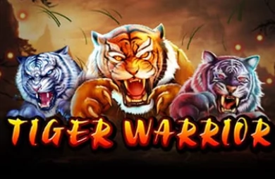 Tiger Warrior