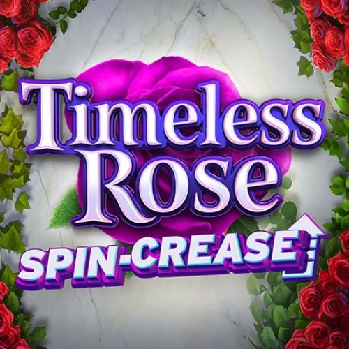 Timeless Rose
