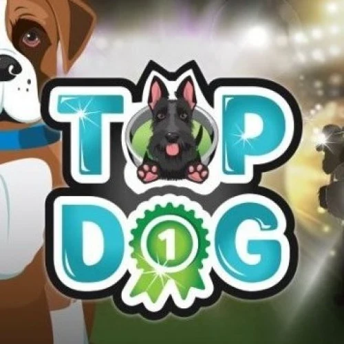 Top Dog