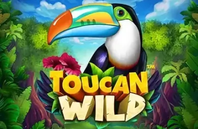 Toucan Wild