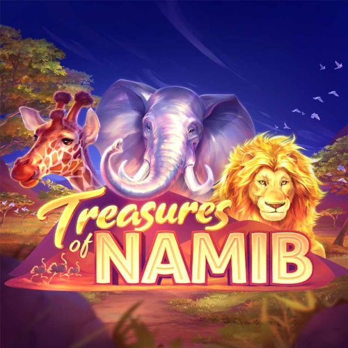 Treasures of Namib