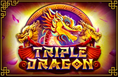 Triple Dragon (Platipus)