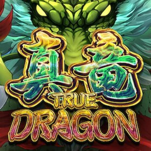 True Dragon X