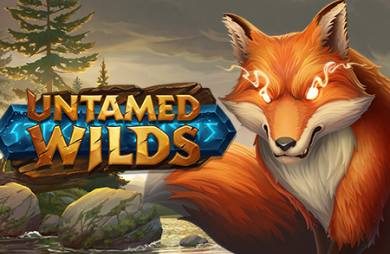 Untamed Wilds