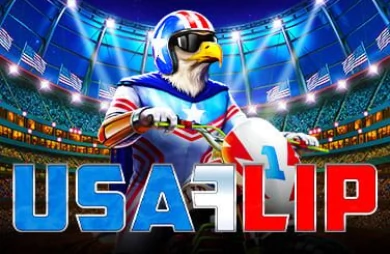 USA Flip