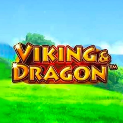 Viking &amp; Dragon