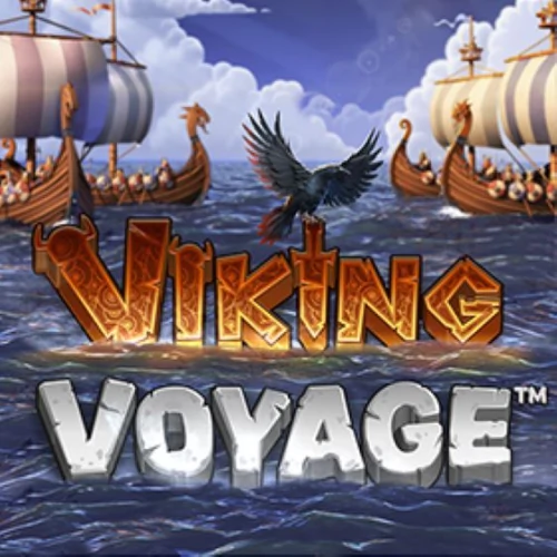 Viking Voyage