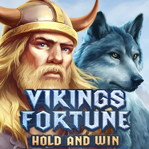 Vikings Fortune: Hold and Win