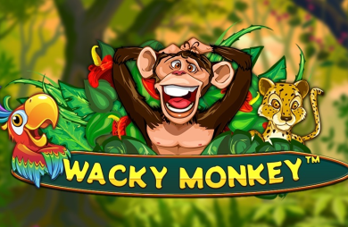 Wacky Monkey