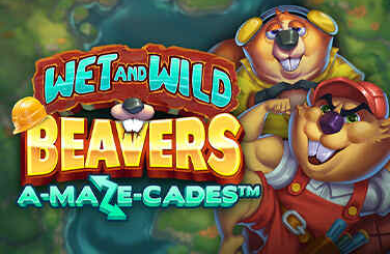 Wet and Wild Beavers