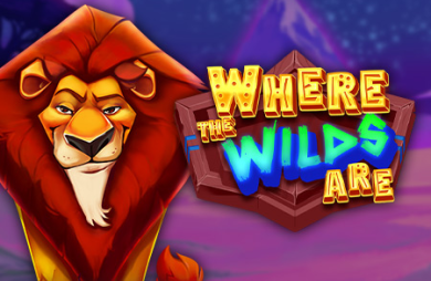 Where the Wilds Are