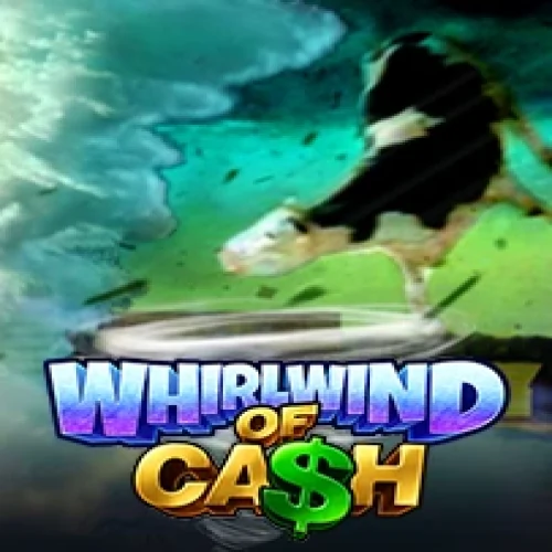 Whirlwind of Cash