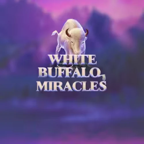 White Buffalo Miracles