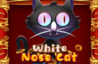 White Nose Cat
