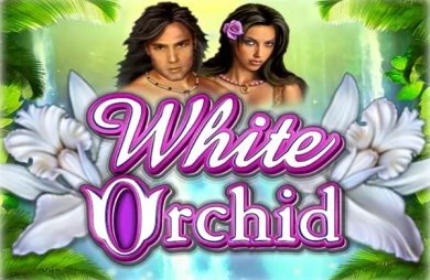 White Orchid