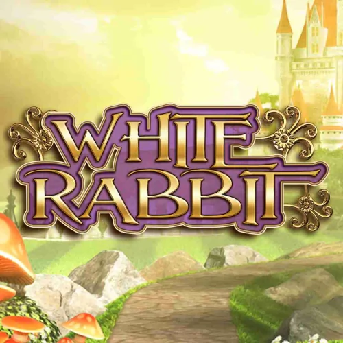 White Rabbit