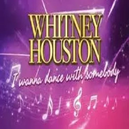 Whitney Houston I Wanna Dance with Somebody