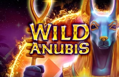 Wild Anubis