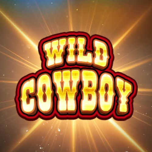 Wild Cowboy