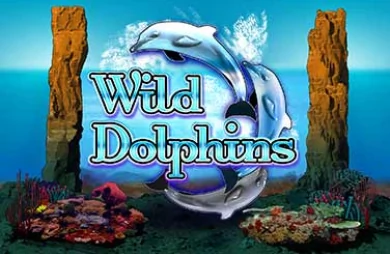 Wild Dolphins