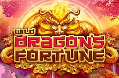 Wild Dragon's Fortune