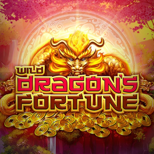 Wild Dragon's Fortune