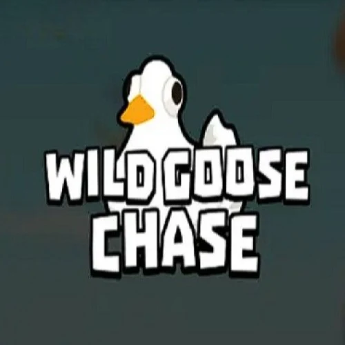 Wild Goose Chase