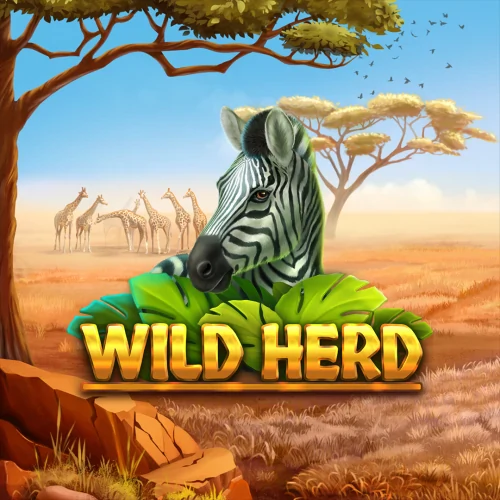 Wild Herd