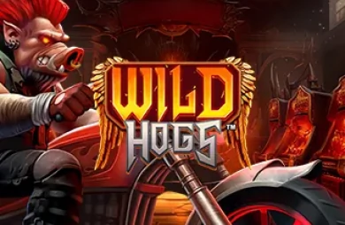 Wild Hogs