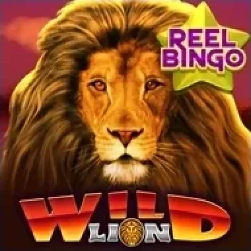 Wild Lion with Reel Bingo