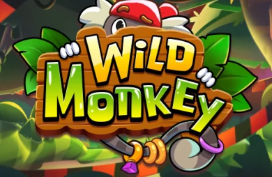Wild Monkey