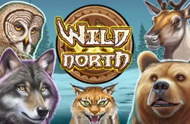 Wild North (Play’n Go)