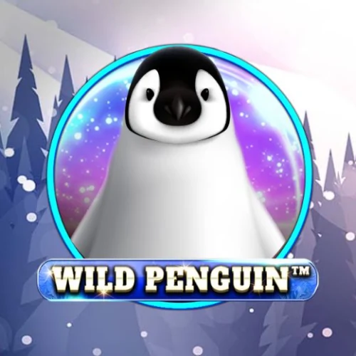 Wild Penguin