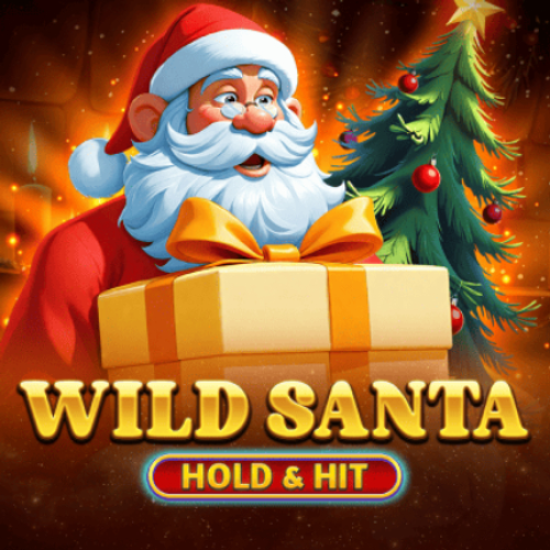 Wild Santa - Hold &amp; Hit