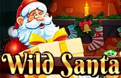 Wild Santa