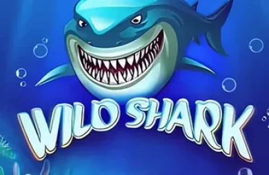 Wild Shark