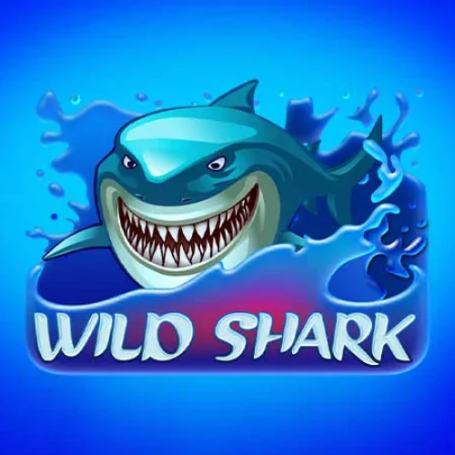 Wild Shark