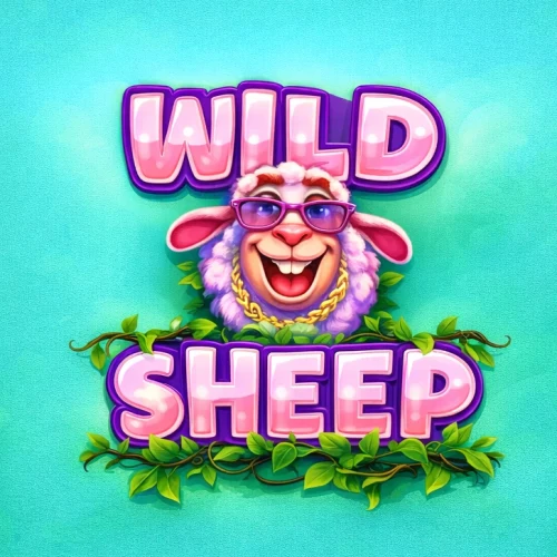 Wild Sheep