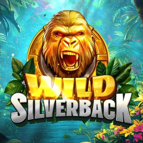 Wild Silverback